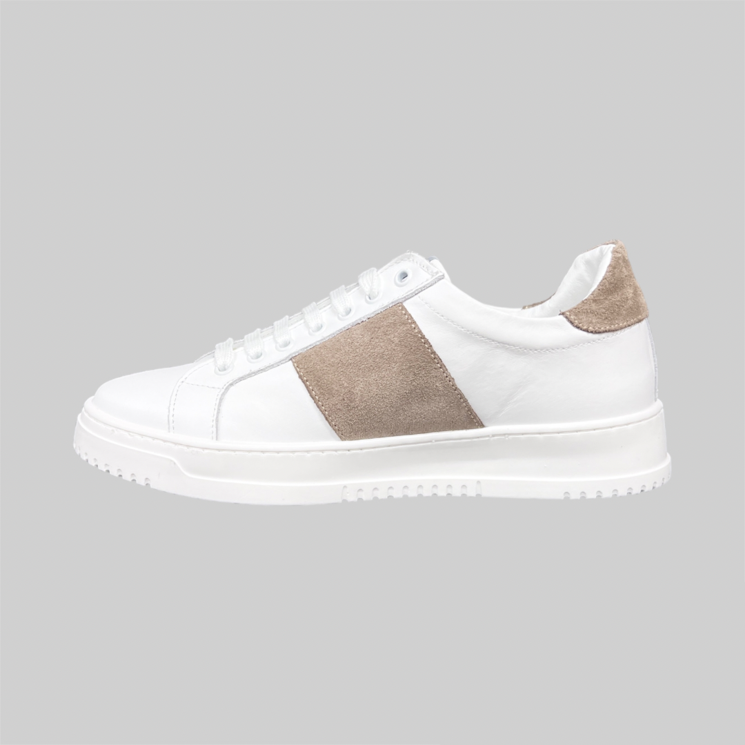 Linear 2.0 - Tortora