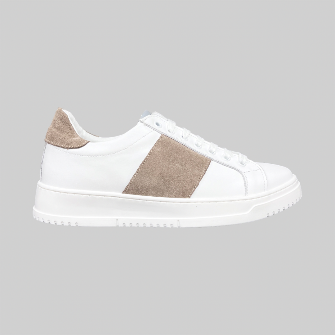 Linear 2.0 - Tortora